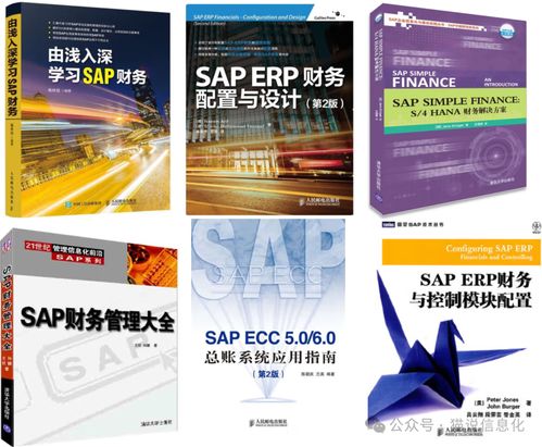 專業書視角下國內外ERP軟件廠商的生態差異 以國內貿易代理行業為例