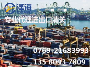 代理測量儀器進口報關與國內貿易代理綜合指南