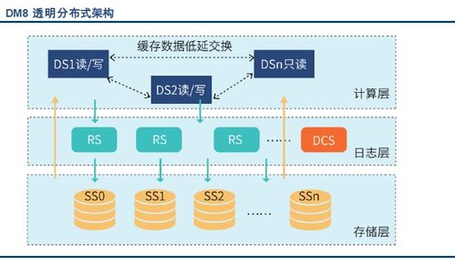 國內外主流數據庫系統產品概覽及其國內貿易代理生態