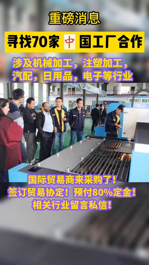 從國內貿易代理到跨境電商 數字化浪潮下的轉型與機遇